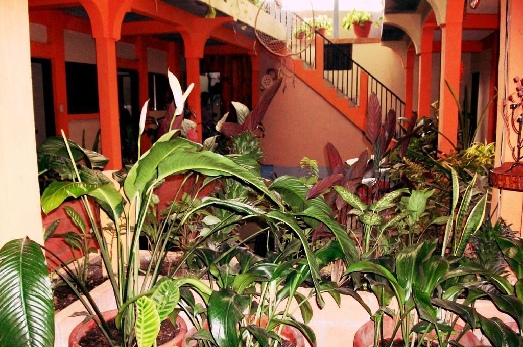 Hotel & Hostal Yaxkin Copan Phòng bức ảnh